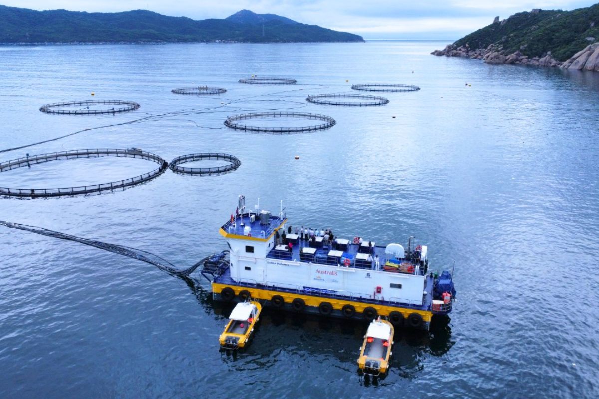 Bí kíp đầu tư nuôi hải sản cho người mới bắt đầu