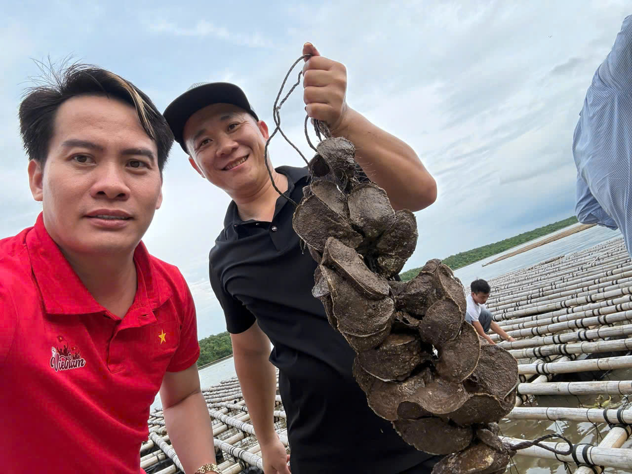 Hàu Đại Dương Tươi Sống