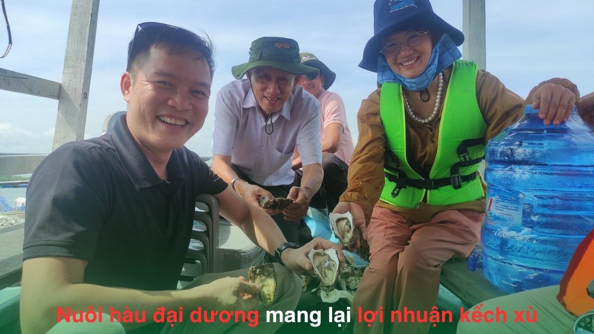 Mô hình đầu tư trang trại nuôi hàu đại dương Vạn Xuân
