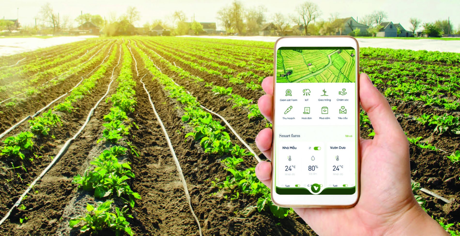 Ứng dụng công nghệ vào đầu tư nông nghiệp an toàn